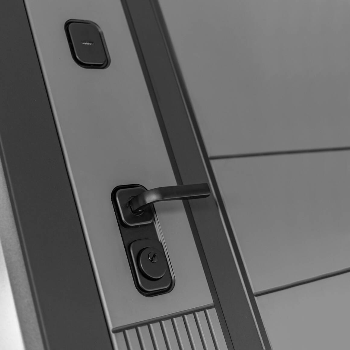 Входная дверь EVOLAB 15 - Алмон 25 фото 2