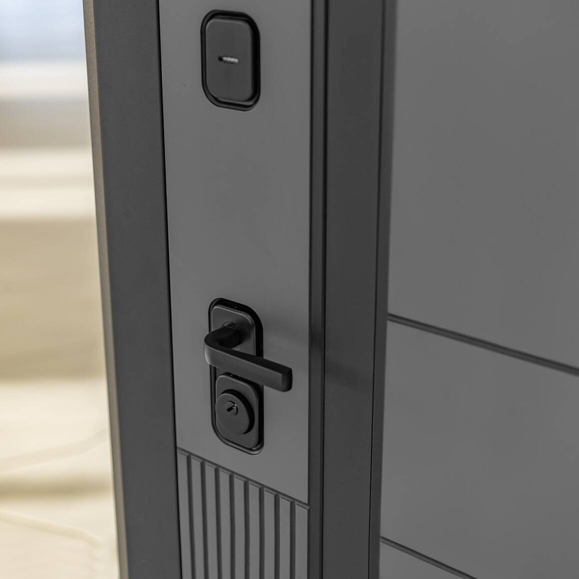 Входная дверь EVOLAB с зеркалом тонированным Максимум - Черный кварц фото 3