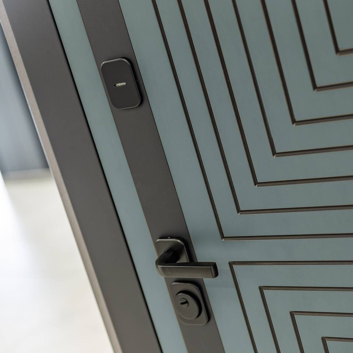 Входная дверь CREDOR 29 - Дуб кантри темный фото 3