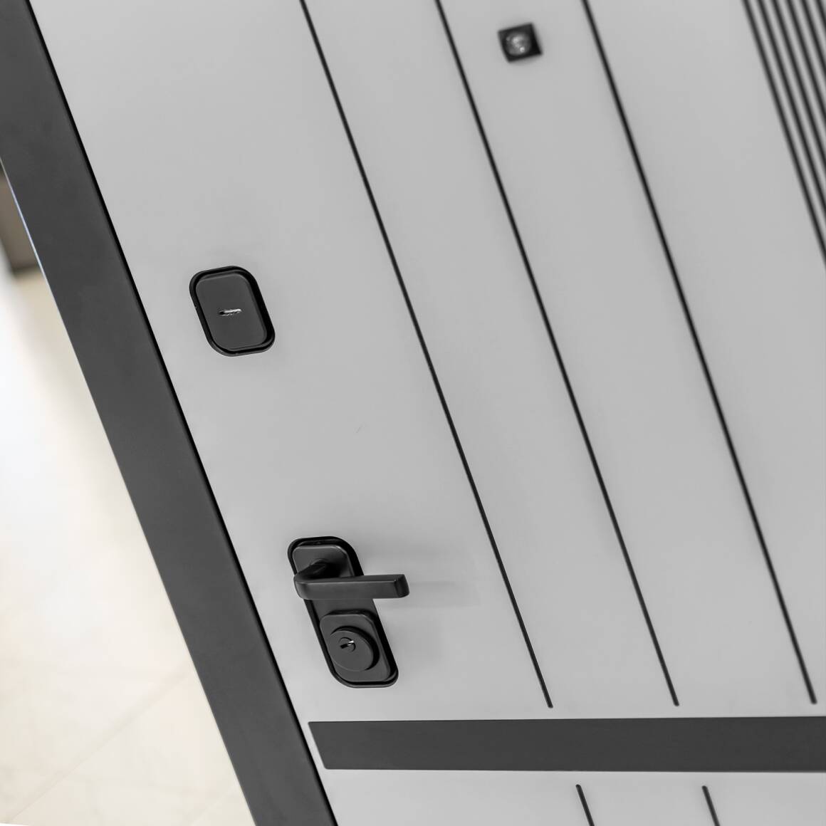 Входная дверь SKYLAB 05 - Венге светлый фото 3